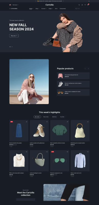fashion-1