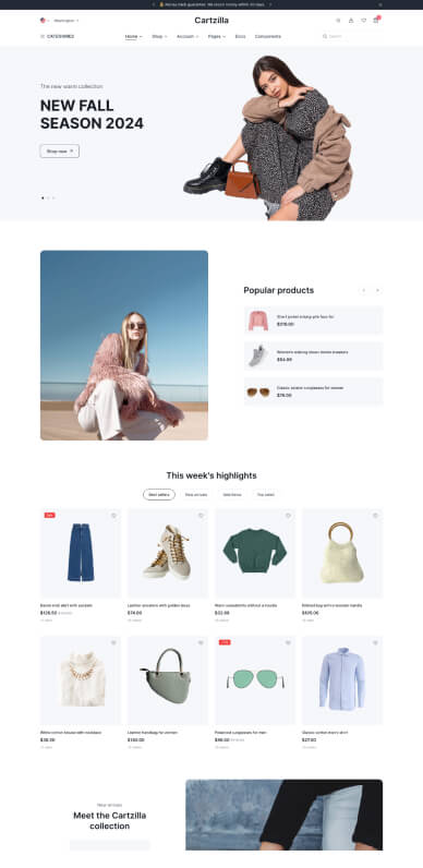 fashion-1