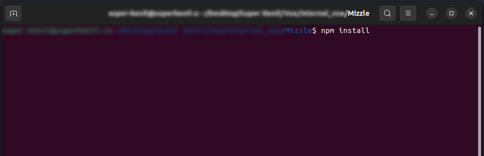 npm installation Step2