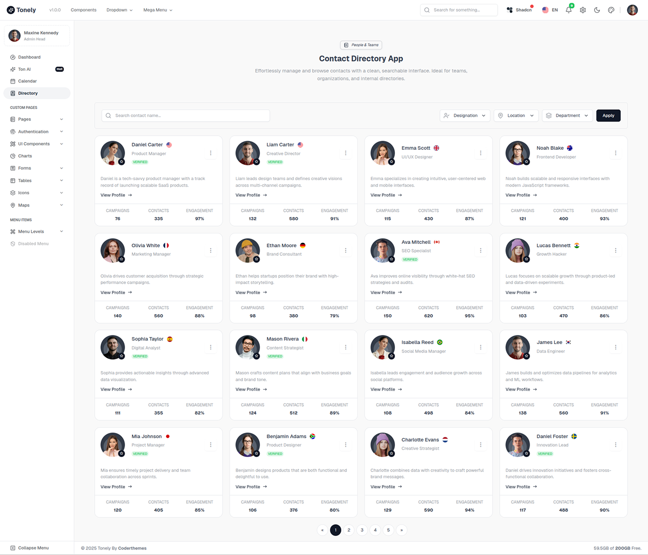 SaaS Skin